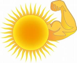 Muscle Sun