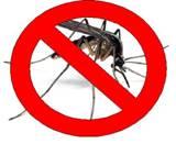Mosquito bite prevention